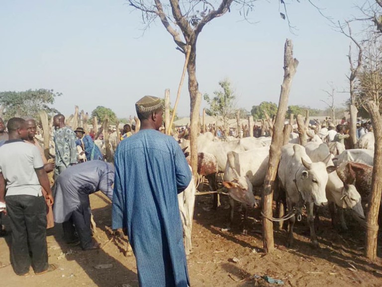 “Nigerian Government Issues Alert Regarding Poisoned Animals at Cattle Market in Kwara State”