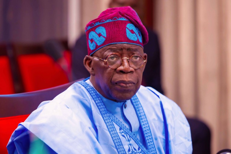 “Prof. Dung Pam Urges Tinubu: Convene Presidential Dialogue on Nigerian Elections”