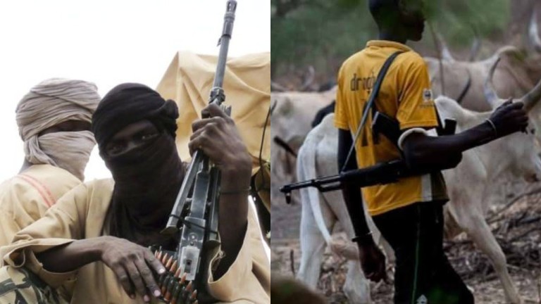 Ogbaulu herdsmen attack: Death toll rises to nine