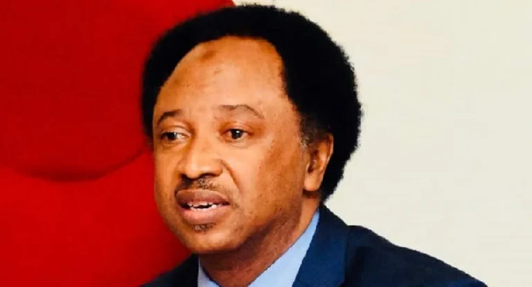 Harry, Meghan visit: Protocol displayed colonial mentality – Shehu Sani