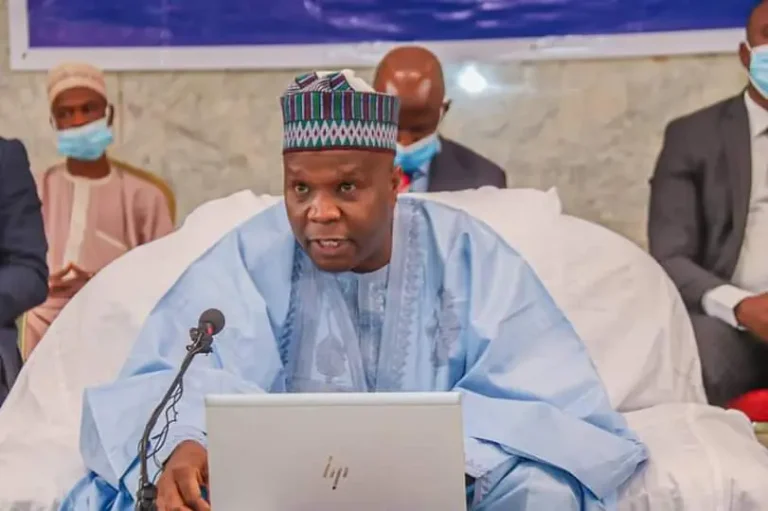 Gombe Governor Expresses Concern Over Protesters Waving Russian Flags