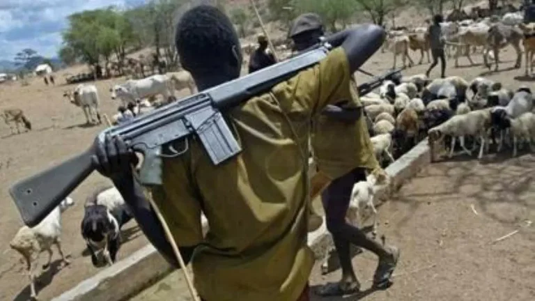 15 KILLED IN RENEWED ARMED HERDSMEN ATTACK IN BENUE STATE