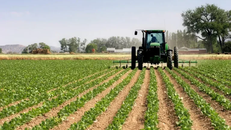 OYSTER AGRIBUSINESS SECURES US$2 MILLION FUNDING TO EXPAND AFRICA’S FOOD BASE