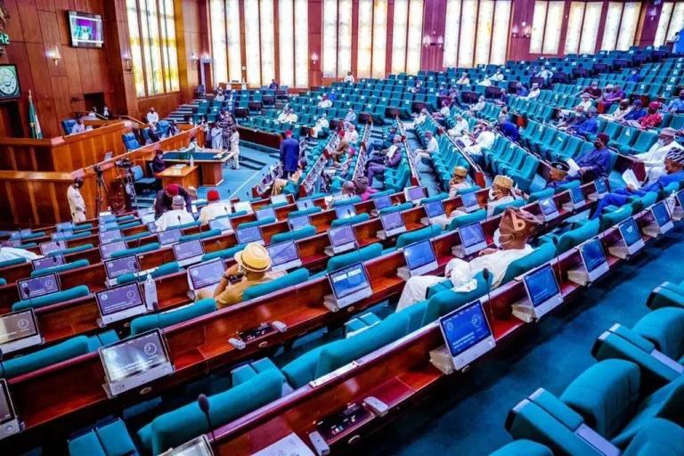 HOUSE OF REPRESENTATIVES ADVANCES BILL FOR INDEPENDENT CANDIDACY IN NIGERIA