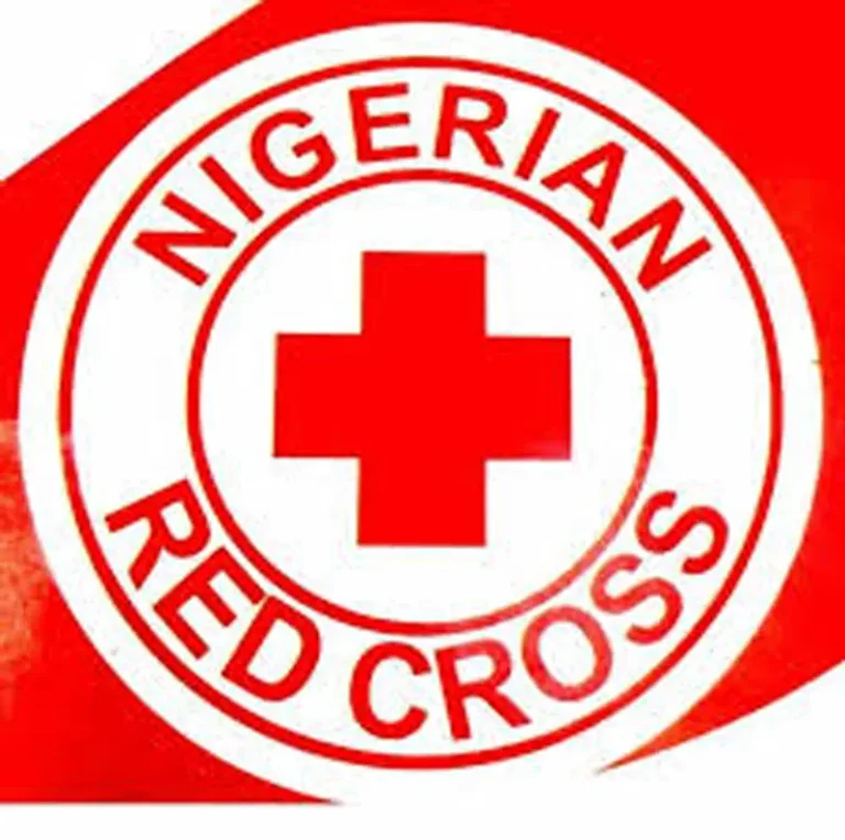 NO RED CROSS STAFF BEHEADED BY BOKO HARAM TERRORISTS, CONFIRMS SOURCE