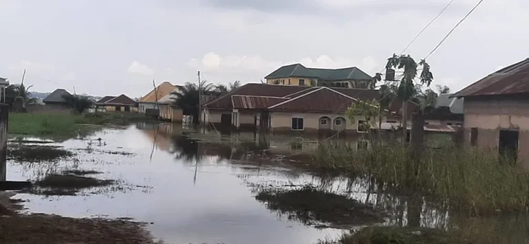 FLOODING IN MAKURDI: RISING WATER LEVELS DISPLACE HUNDREDS OF FAMILIES