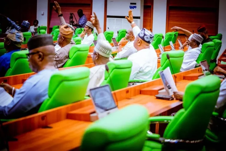 HOUSE OF REPRESENTATIVES CONDEMNS INHUMANE TREATMENT OF SUPER EAGLES BY LIBYAN AUTHORITIES