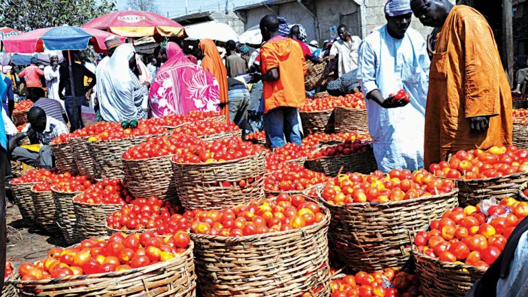 IMF MANAGING DIRECTOR HIGHLIGHTS HIGH PRICES AND SLOW GROWTH AS GLOBAL ECONOMIC CHALLENGES