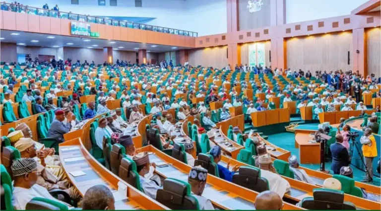 House of Representatives Moves to Establish Bola Ahmed Tinubu Federal University of Nigerian Languages