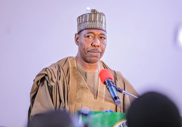 Borno gov cuts palliative aid, promotes farming