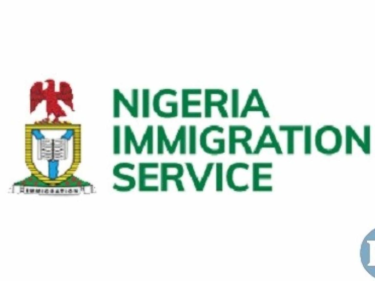 Immigration Service raises alarm over influx of illegal immigrants in Cross River