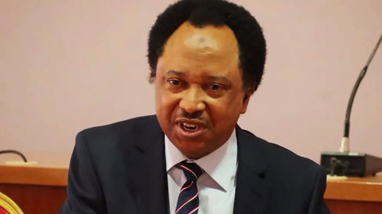 I was almost suspended for revealing Senators’ pay in 2018 — Shehu Sani